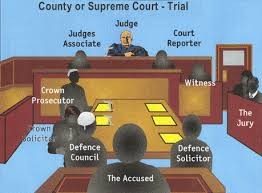 judgement, opinion, trial