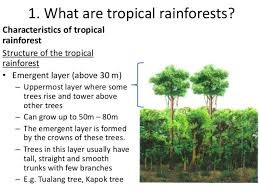 <p>are dense forests that are impossible to access</p>