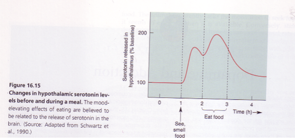 <p><strong>Serotonin (5HT) in the hypothalamus</strong>: Plays a crucial role in regulating both mood and food intake.</p><p><strong>Rises in anticipation of food</strong>: Serotonin levels increase when anticipating food, signaling hunger and influencing behavior.</p><p><strong>Spike during meals</strong>: Serotonin levels rise especially when consuming carbohydrates, which may contribute to feelings of satiety and well-being.</p><p><strong>Association with eating disorders</strong>: Low serotonin levels are linked to <strong>depression</strong> and eating disorders like <strong>anorexia nervosa</strong> and <strong>bulimia</strong>, where mood and food intake are disrupted.</p>