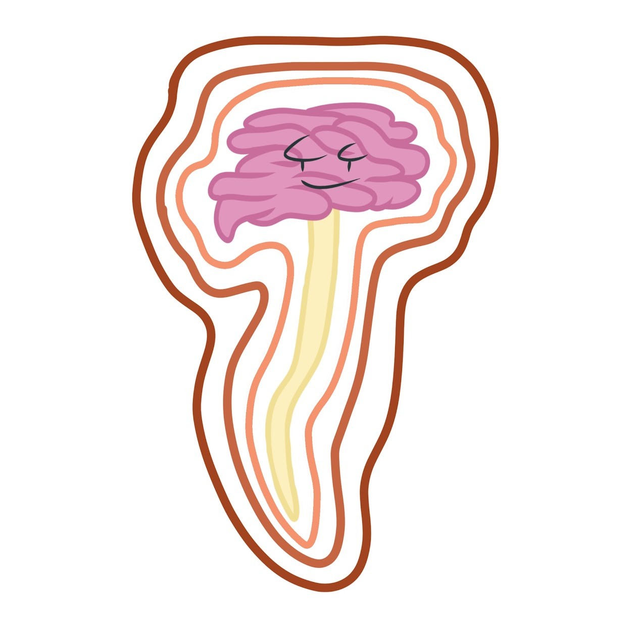 <p>3 <span class="tt-bg-green">protective membranes</span> wrapping the brain and spinal cord</p>