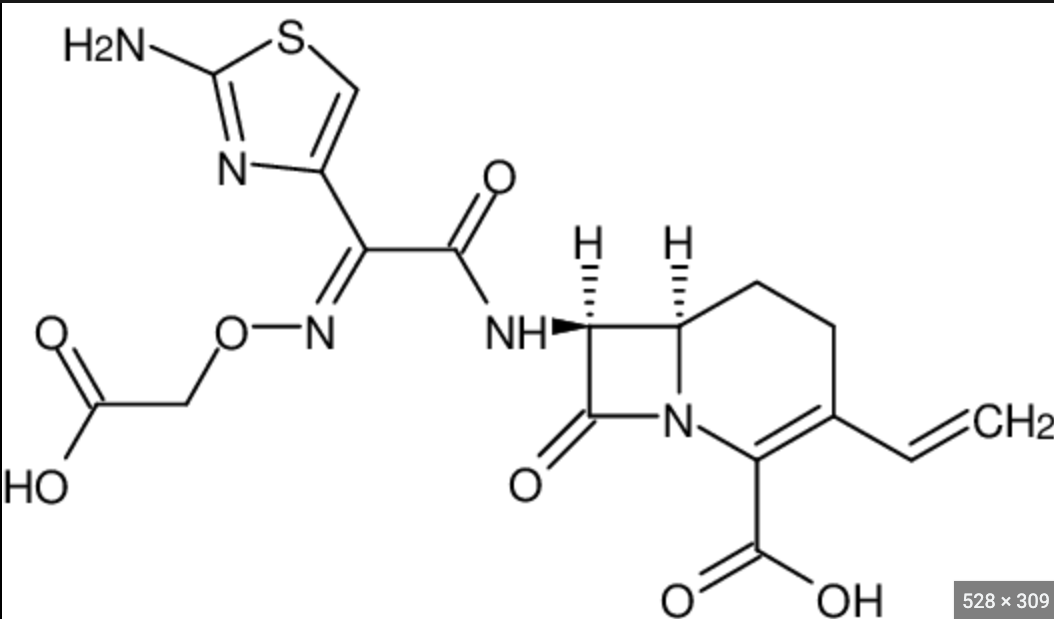 <p>Which functional group in Cefixime causes nausea?</p>