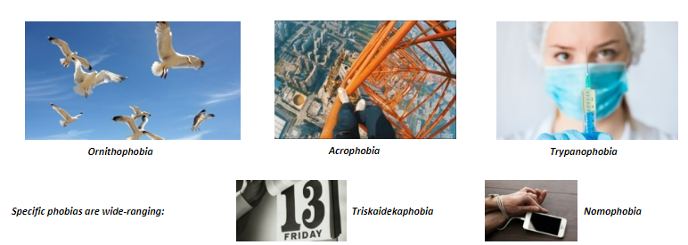 <p><strong>Extreme fears or anxieties</strong> provoked by exposure to a particular situation or object, often leading to <strong>avoidance behaviors</strong>.</p><p>The phobic object or situation almost always provokes <strong>immediate fear or anxiety</strong>, out of proportion to the actual danger.</p><p>Phobia is <strong>persistent</strong>, typically lasting at least <strong>six months</strong>, impairing activities of daily living.</p><p>Symptoms are <strong>not attributable</strong> to a substance or medical condition and are <strong>not better explained</strong> by another type of anxiety disorder.</p>