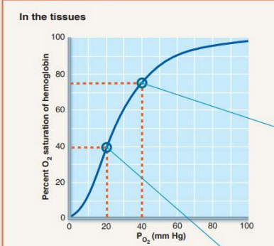 <p>40% hemoglobin saturation </p>