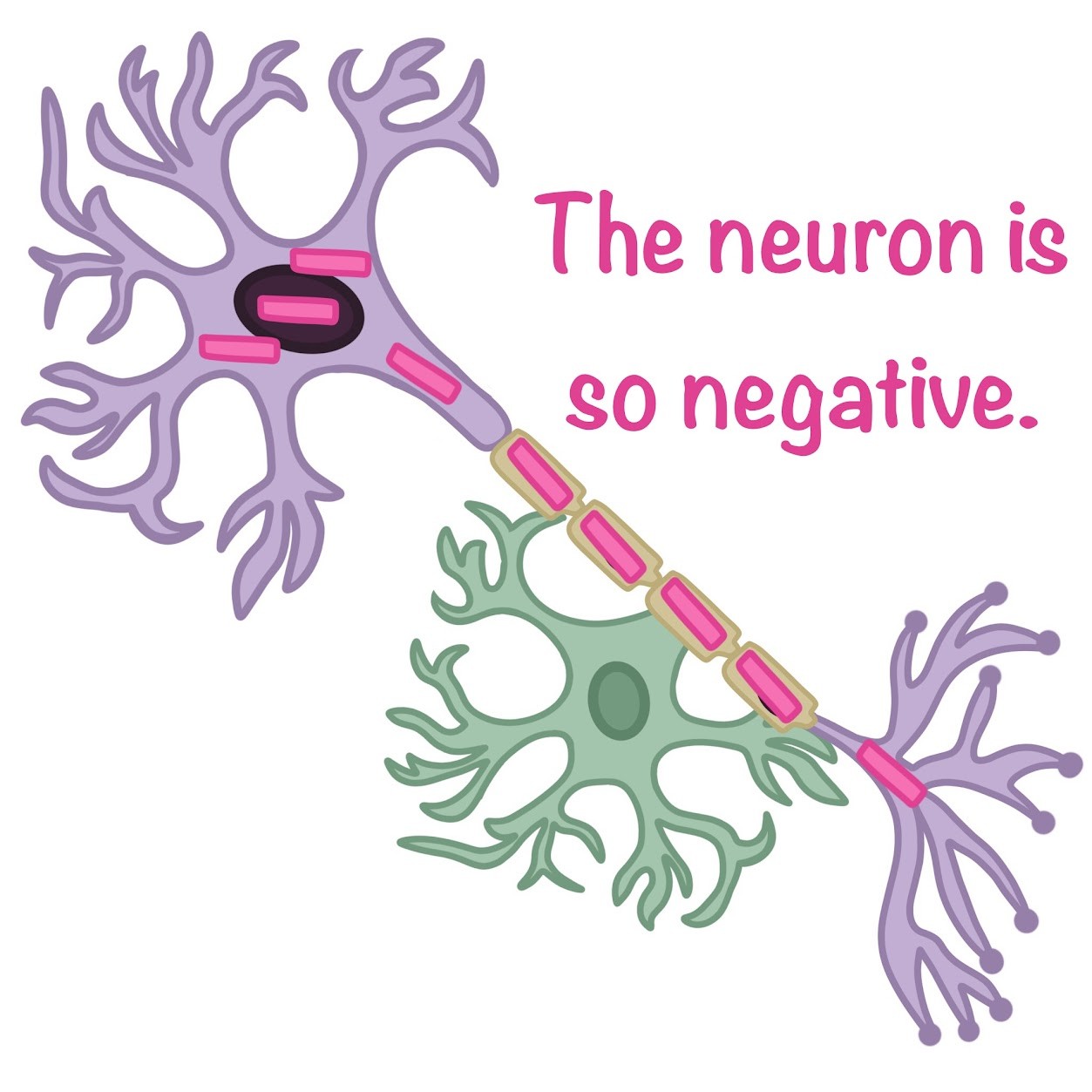 <p>negative</p>