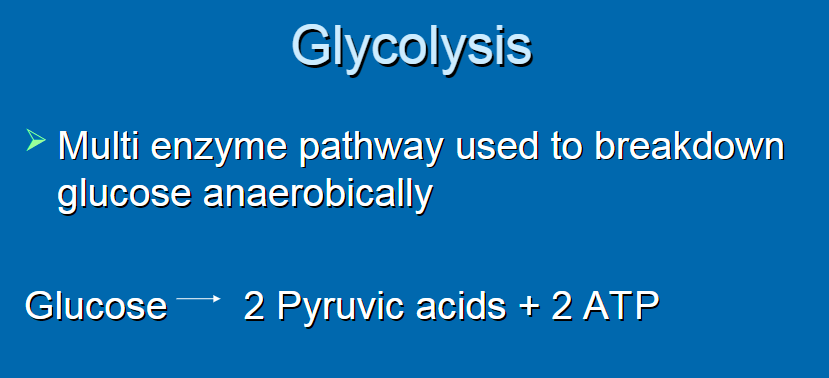 <p>glucose -&gt; 2 pyruvic acid + 2 ATP</p>