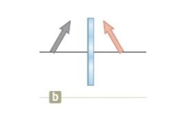 since this is a plane mirror the image must be uprightL/R flippedsame sizesame distance from mirror