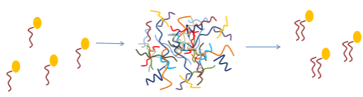 <p>Nucleic acid hybridisation techniques identify the presence of nucleic acids containing a specific sequence of bases, allowing for the capture and quantitation of these sequences in a mixture.</p>