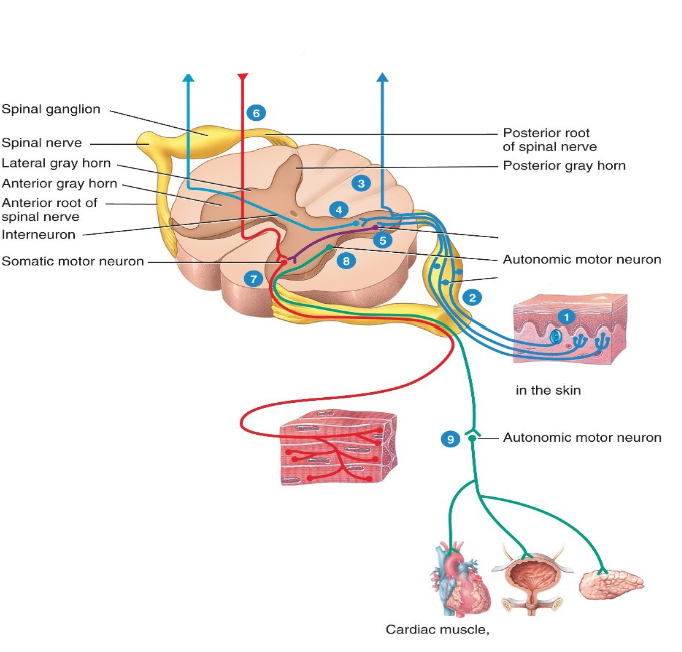 <p>Label the diagram.</p>