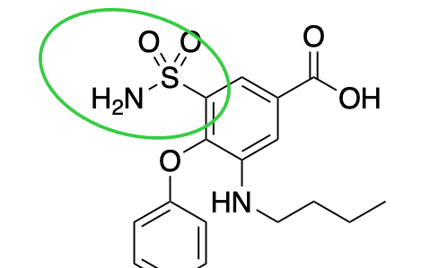 <p>What is the name of this group? </p>