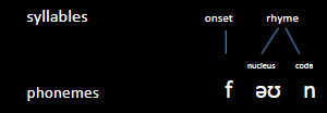 <p><strong>Onset</strong>: The initial consonant(s) of a syllable (e.g., "f" in "fun").</p><p><strong>Nucleus</strong>: The core vowel sound of a syllable (e.g., "ʌ" in "fun").</p><p><strong>Coda</strong>: The consonant(s) that follow the nucleus (e.g., "n" in "fun").</p>