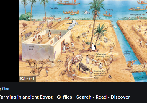 <p>In Egypt another civilisation arose around the Nile River. The Egyptians also relied on the flooding of the river and some lived in cities. Their king was called a Pharaoh, and he was worshipped as a god.</p>