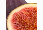 <p>fig</p>