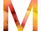 <p>mangoes</p>