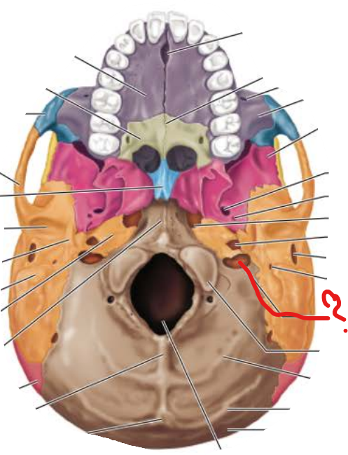 <p>Jugular Foramen</p>