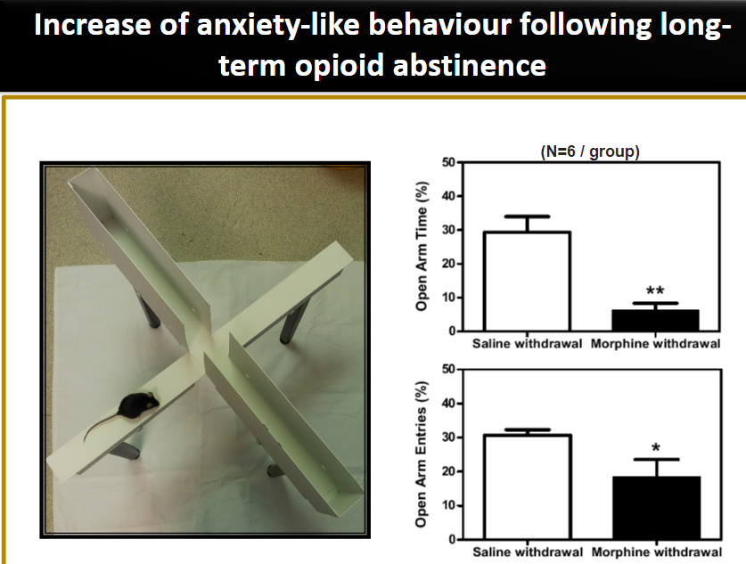 <p><strong>Anxiety-like behaviour</strong>: Refers to behaviours that resemble anxiety symptoms, such as restlessness, excessive worry, or hypervigilance, often seen in preclinical models (e.g., animals) after a period of opioid abstinence.</p><p><strong>Long-term opioid abstinence</strong>: After discontinuing opioid use for a prolonged period, individuals may experience an increase in anxiety-like behaviours due to neurobiological changes in the brain’s reward and stress systems, including dysregulation in neurotransmitter systems like serotonin and dopamine.</p>