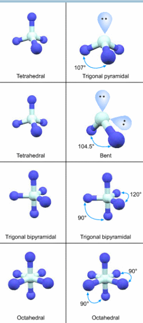 <p>Lone pairs are not counted but they help with form new shape </p>