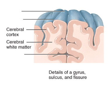 <p>Label the diagram. </p>