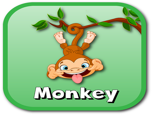 monkey