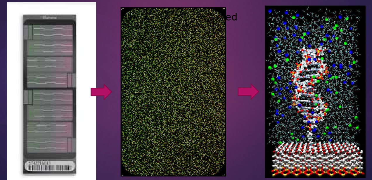 <p>Thousands of probes with the same sequence.</p>