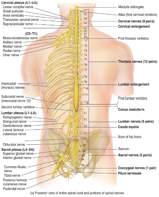 <p>Label the diagram.</p>