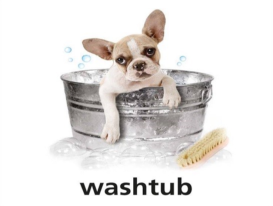 <p>washtub</p>
