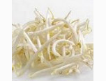 <p>bean sprouts</p>