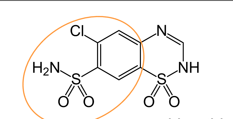 <p>What is the highlighted structure? </p>