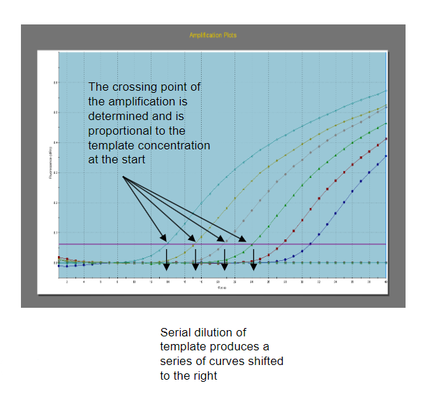 <p><strong>Answer:</strong> Quantitative PCR (qPCR), also known as real-time PCR, utilizes fluorescent detection methods to monitor the amplification of target DNA molecules during the PCR process. It is used in diagnostics for quantifying the amount of a specific target DNA molecule in a sample, enabling accurate assessment of DNA levels.</p>