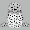 <p>spotted seal</p>