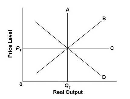 <p>Refer to the diagram. The long-run aggregate supply curve is:</p><p></p><p>A. A.</p><p></p><p>B. B.</p><p></p><p>C. C.</p><p></p><p>D. D.</p>
