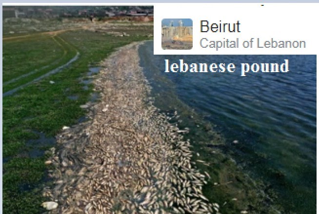 Q12) Recently, tonnes of dead fish have washed up on the banks of Qaraoun lake on the Litani river. The river is located in which country? 
