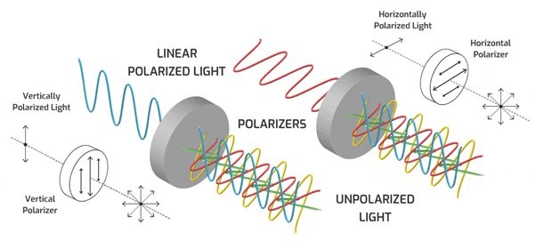 <p><strong>Plane-polarized </strong>(or <strong>linearly polarized</strong>)<strong>&nbsp;light</strong> is light in which the electric fields of all the waves are oriented in the same direction (that is, their electric field vectors are parallel).</p>