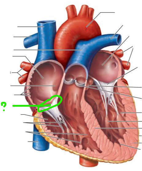 <p>name the internal structure </p>