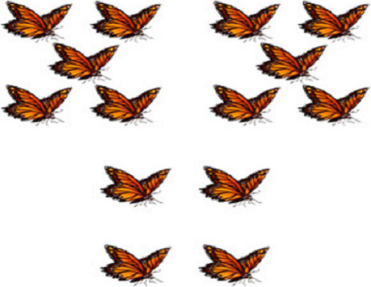 butterflies fourteen