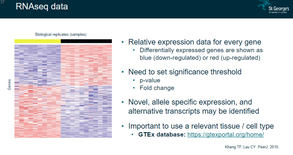 <p>Relative expression data for every gene.</p><p>Identifies differentially expressed genes (up-regulated in red; down-regulated in blue).</p><p>Requires setting significance thresholds (e.g., p-value, fold change).</p><p>May reveal novel allele-specific expression and alternative transcripts.</p><p>Importance of using a relevant tissue/cell type.</p>