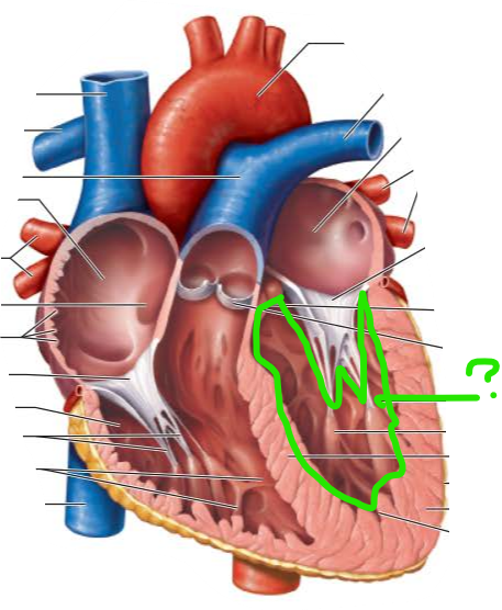 <p>name the internal structure </p>