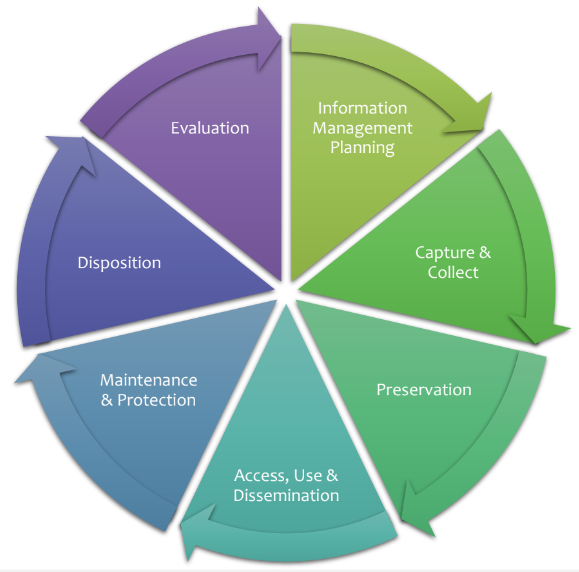 <p>- Planning</p><p>- Capture and collect</p><p>- Preservation</p><p>- Access, use and dissemination</p><p>- Maintanance and protection</p><p>- Disposition</p><p>- Evaluation</p>