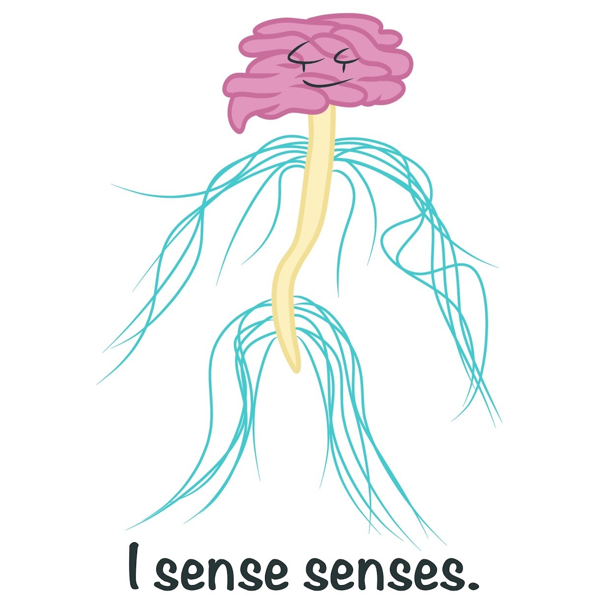 <p><span class="tt-bg-green">General senses</span>, respond to stimuli like <span class="tt-bg-green">temperature, pain, pressure, and vibration</span>; also includes <span class="tt-bg-green">sense of limb</span> position and movement</p>