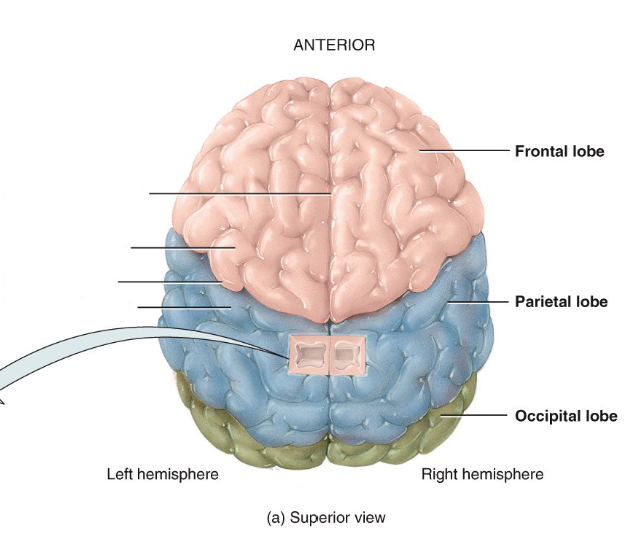 <p>Label the diagram.</p>