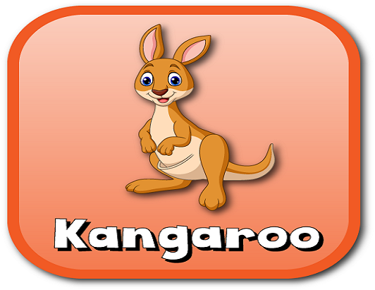 kangaroo