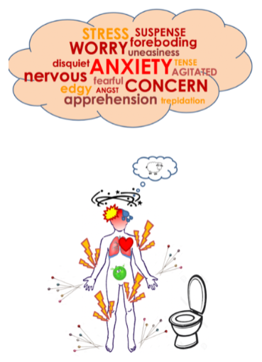 <p><strong>Psychological:</strong> Anxiety involves feelings of unease, worry, or fear.</p><p><strong>Physiological:</strong> Symptoms include:</p><p>Tachycardia</p><p>Shortness of breath</p><p>Excessive sweating</p><p>Trembling or shaking</p><p>Headache and dizziness</p><p>Pins and needles</p><p>Gastrointestinal disturbances</p><p>Nausea</p><p>Fatigue</p><p>Insomnia</p>