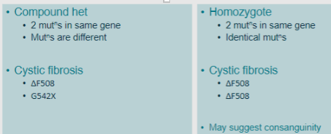 <p>2 mutations in the same gene that are different (e.g., Cystic fibrosis: ∆F508, G542X)</p>