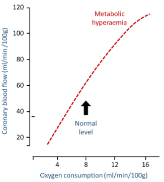 <p>-Myocardium metabolism generates metabolites that produce vasodilatation, leading to increased blood flow, a phenomenon known as metabolic hyperaemia</p><p>-Examples of such metabolites include adenosine, produced by ATP metabolism and released from cardiac myocytes, as well as increases in pCO2, H+, and K+ levels</p>