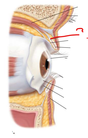 <p>what is this and what is its function?</p>