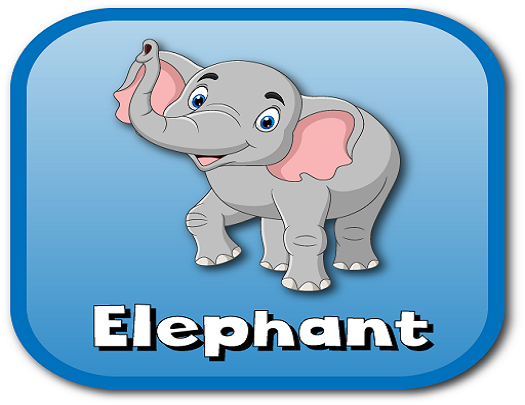 elephant