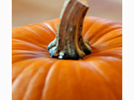 <p>pumpkin</p>