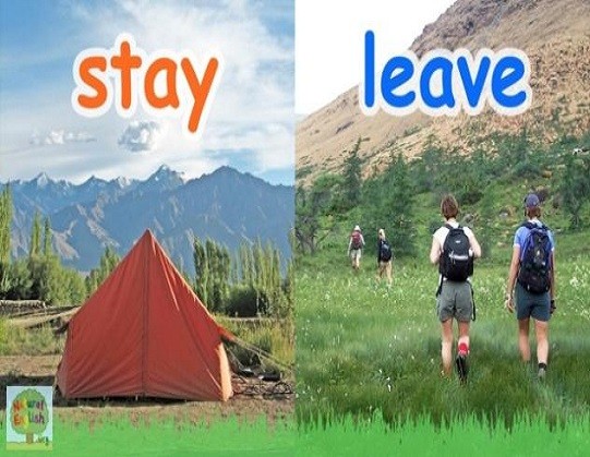 <p>stay and leave</p>