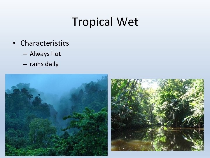 <p>The tropics are </p>