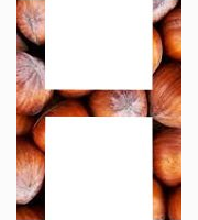 <p>hazelnuts</p>