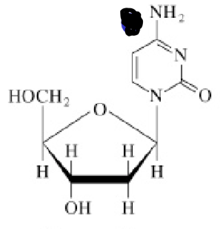 <p>Welk molecuul?</p>